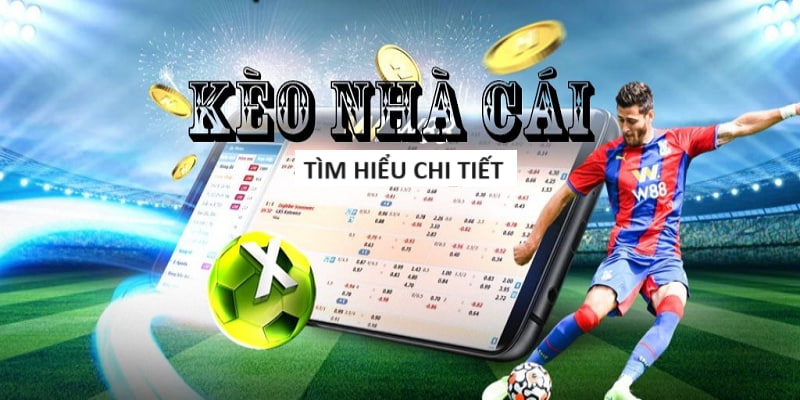 123B - Link đăng nhập nhà cái 123Bet uy tín mới nhất